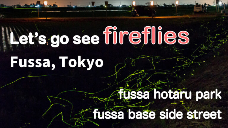 Sightseeing・Dating】Let's go see fireflies in Fussa, Tokyo / 1h from  Shinjuku! Tokyo | Hotaru Park, Fussa Base Side Street, Yokota Air Base,  Demode Diner│あげおBlog〜東京 家賃3万円〜