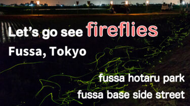 【Sightseeing・Dating】Let’s go see fireflies in Fussa, Tokyo / 1h from Shinjuku! Tokyo |  Hotaru Park, Fussa Base Side Street, Yokota Air Base,  Demode Diner