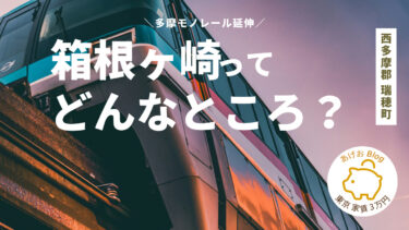 多摩モノレール延伸！？箱根ヶ崎ってどんなところ？